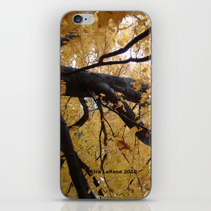 October branches iPhone Skin