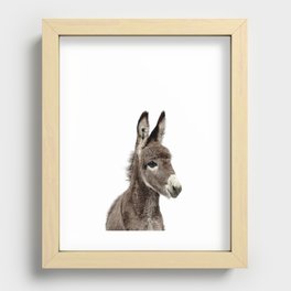 Baby Donkey Recessed Framed Print