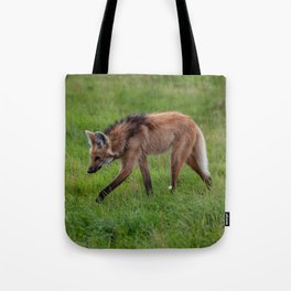 Argentina Photography - A Beautiful Maned Wolf Walking On A Field Of Grass Tote Bag