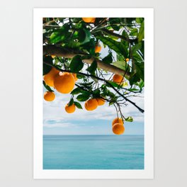 Amalfi Coast Oranges IV Art Print