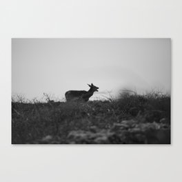 Oh My Deer Canvas Print