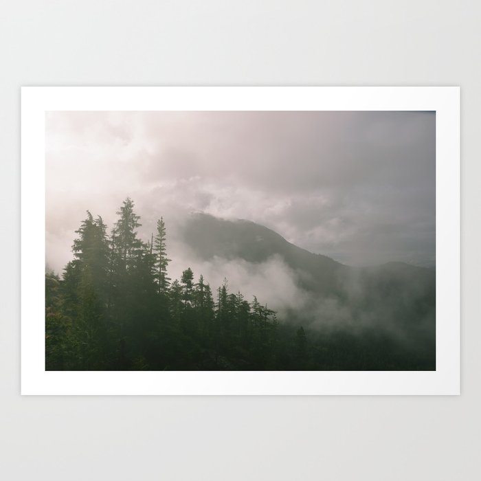 Foggy Forest (Squamish, British Columbia, Canada) Art Print