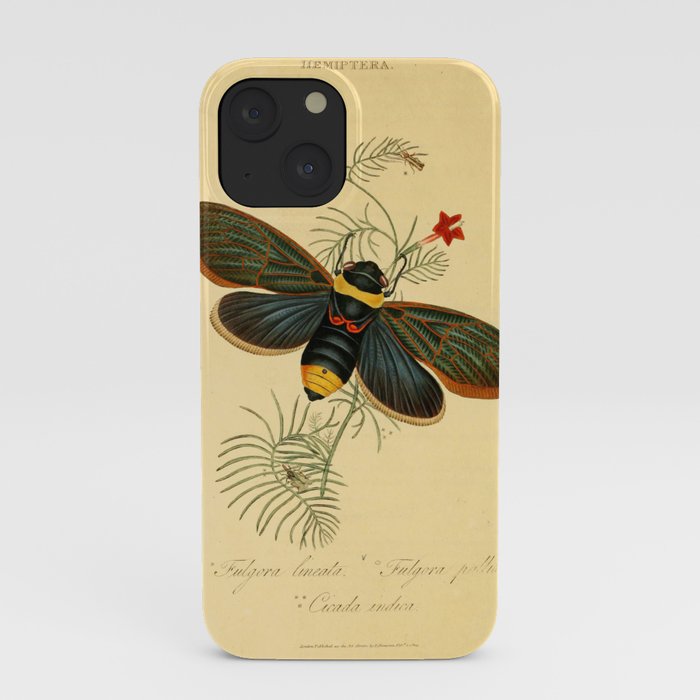 Cicada by Edward Donovan, 1800 (benefitting The Nature Conservancy) iPhone Case