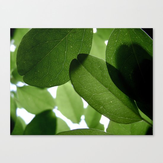 It Ain't Easy Being Green Canvas Print