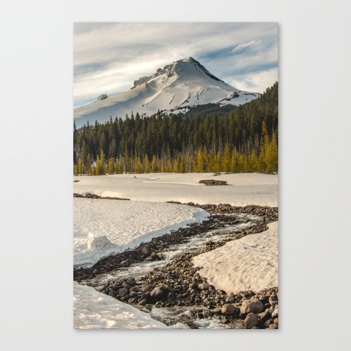 Canvas Print