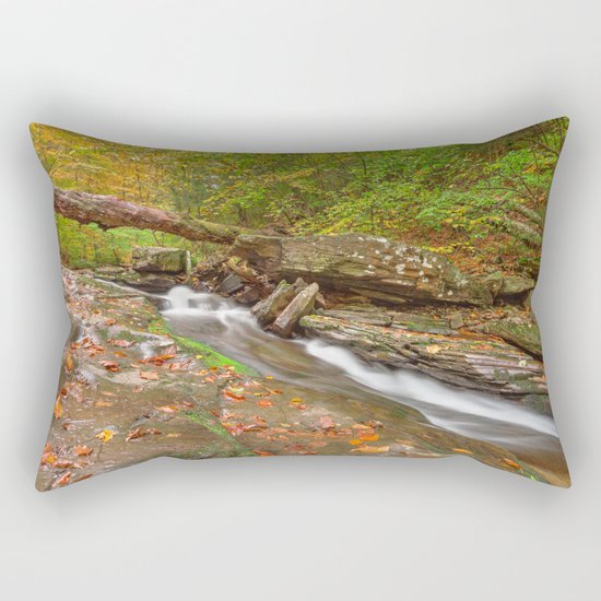 Ricketts Glen Autumn Stream Rectangular Pillow