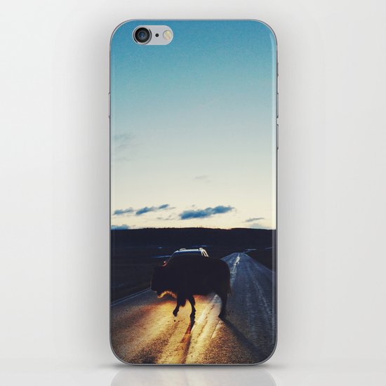 Bison in the Headlights iPhone & iPod Skin
