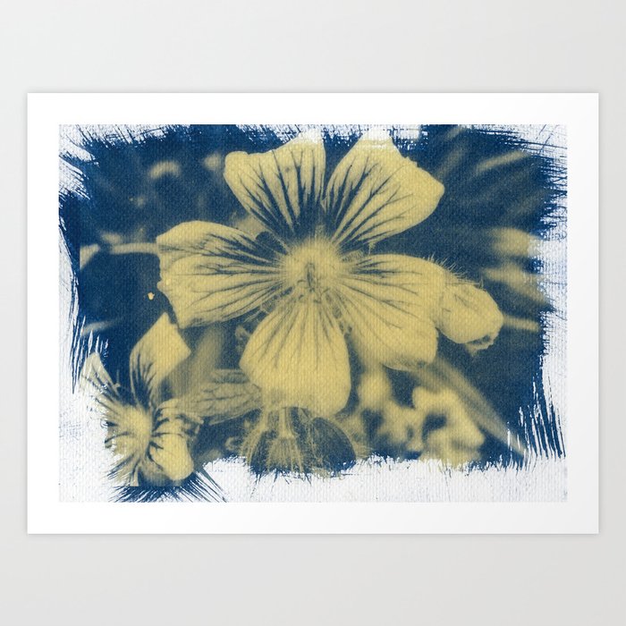 "Purple Flower in Cyanotype" Art Print