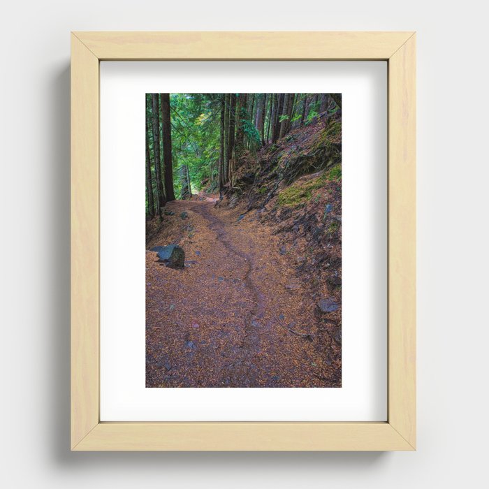 A Mount Rainer Trail Recessed Framed Print
