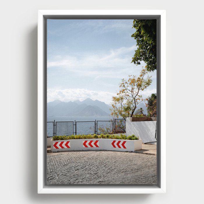 Framed Canvas