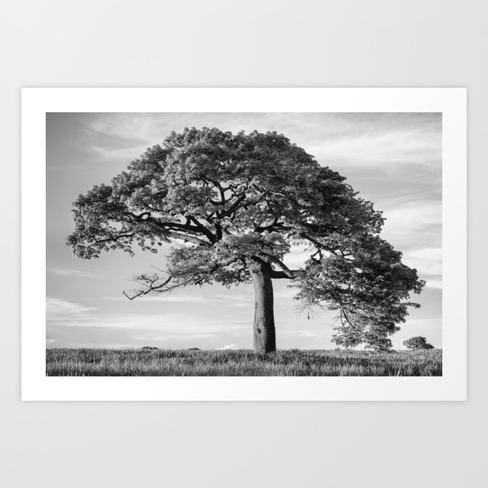The Tree (Black and White) Art Print