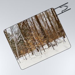 Maple Beech Forest in the Winter Picnic Blanket