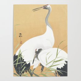 Couple Of Cranes - Vintage Japanese Woodblock Print Art Poster