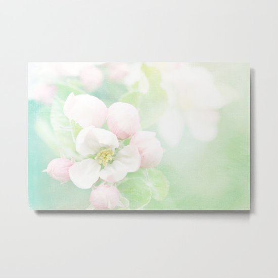 Apple Blossom Pink Metal Print