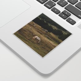 Horse | Nature and Landscape Photography Sticker