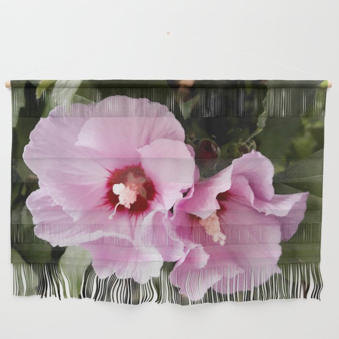 Tow purple Hibiscus flowers  in the garden Wall Hanging