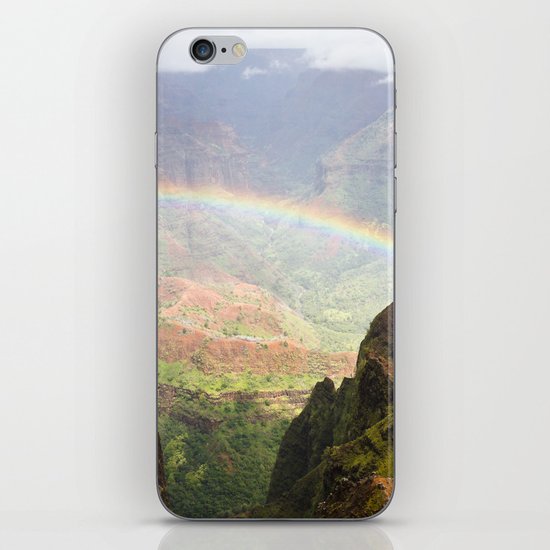 Rainbow iPhone & iPod Skin