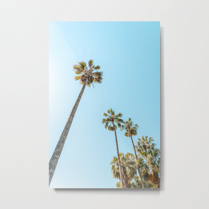 Tropical Palm Trees, Palm Tree Leaf, California Dream, Miami Beach, Summer Travel, Beach Photography, Pastel Colors, Looking Up To The Sky Metal Print