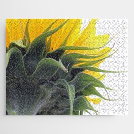 Backside of a Blooming Sunflower Jigsaw Puzzle