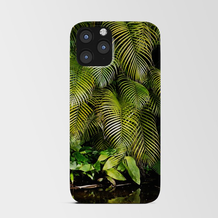 Palm Waterfall iPhone Card Case