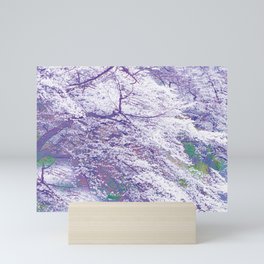 Purple Cherry Blossom Tree in Purple Mini Art Print