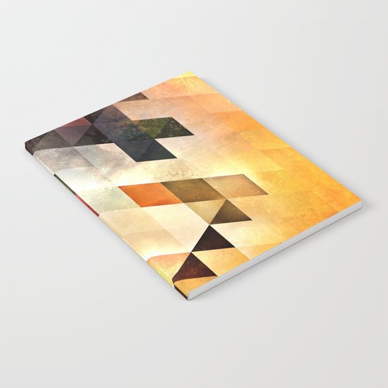 bryyx pyynx Notebook