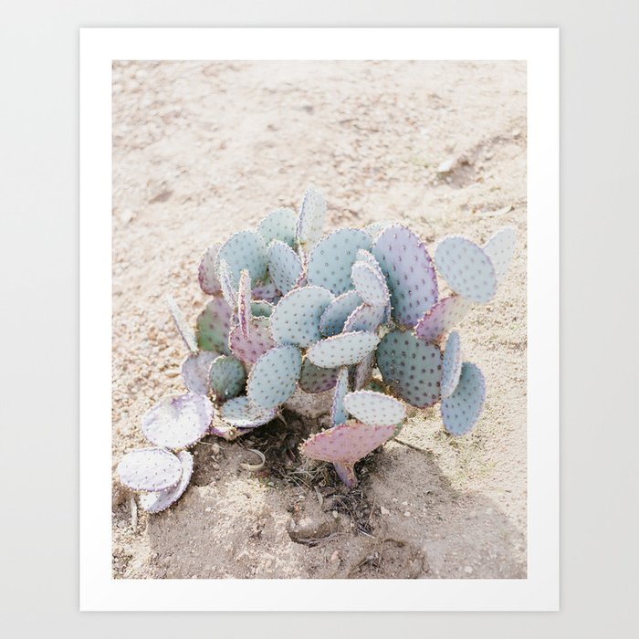 Pink and Mint Cactus Art Print