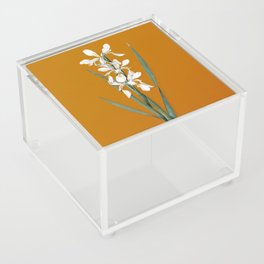 Vintage Yellow Banded Iris Botanical Illustration on Bright Orange Acrylic Box