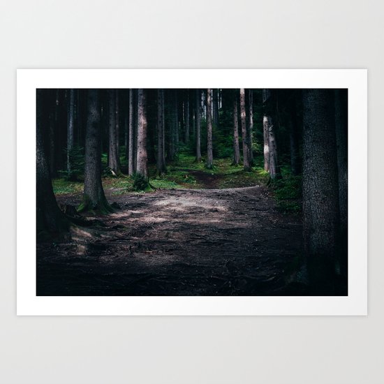 Dream Woods Art Print