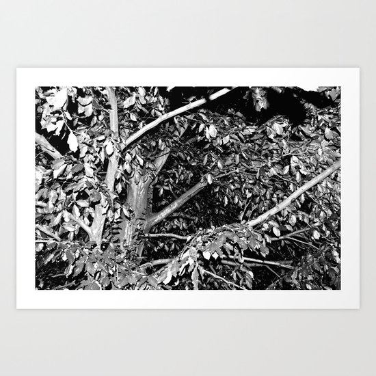 House of Horrors Art Print