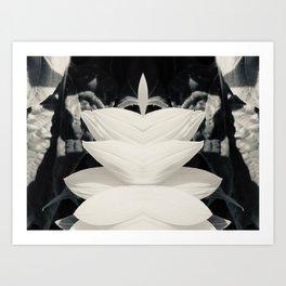 Petals 2 symmetry, collection, black and white, bw, set Art Print