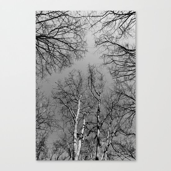 Branching Out Canvas Print