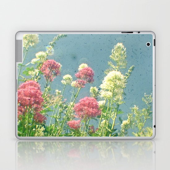 Raspberries and Cream Laptop & iPad Skin