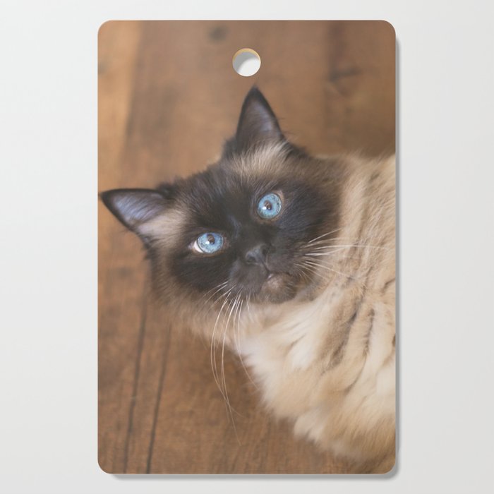 Ragdoll Cat Cutting Board