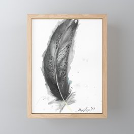 Immature Bald Eagle Feather Framed Mini Art Print