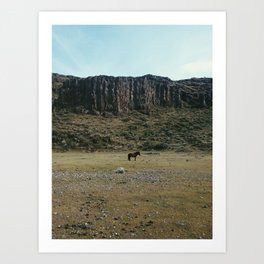 Rock Pasture Pony Art Print