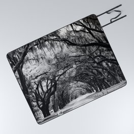 Spanish Moss on Southern Live Oak Trees black and white photograph / black and white art photography Picnic Blanket