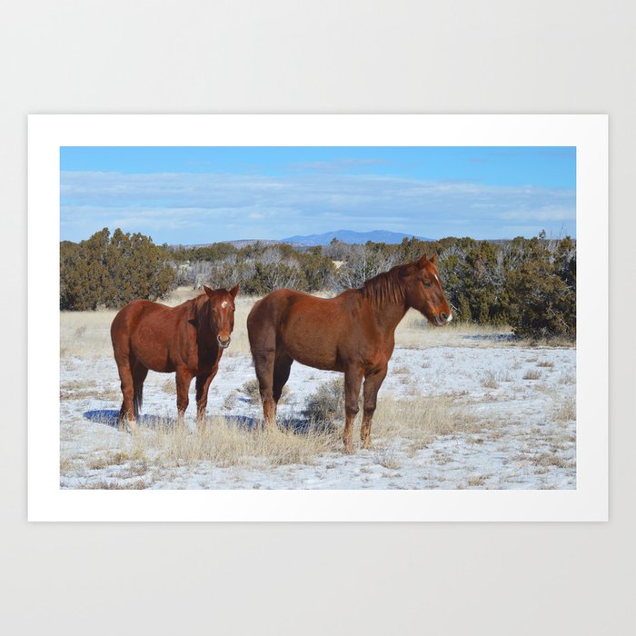The Essence of New Mexico Art Print