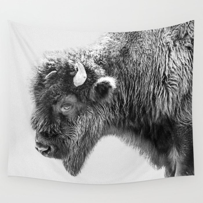Bison Photography | Animal Portrait | Black and White | Minimalism Wall Tapestry