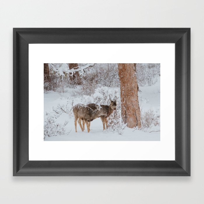 Oh Deer, It's Snowy Framed Art Print