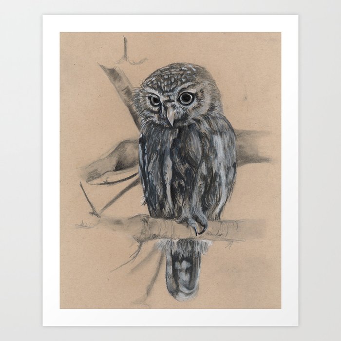 Caellum's Owlet Art Print
