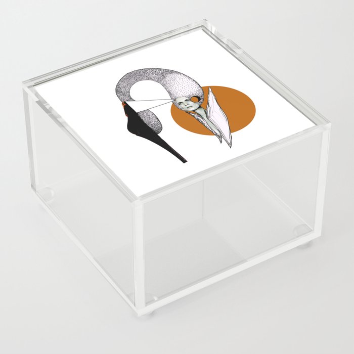 Shoe Swan Acrylic Box