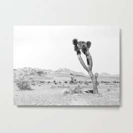 Vintage Desert Scape B&W // Cactus Nature Summer Sun Landscape Black and White Photography Metal Print