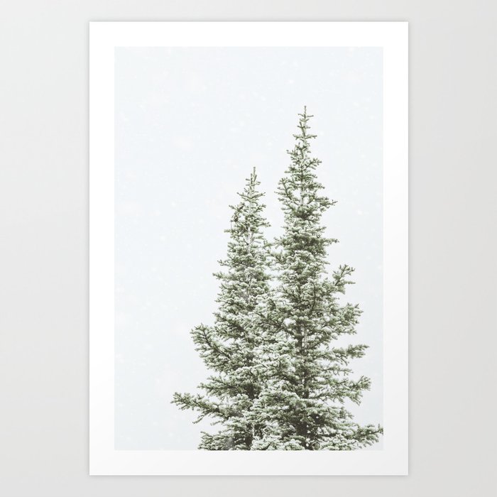 Winter Pine Trees Art Print