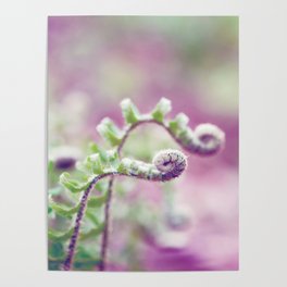 Ferns in Green, Purple, and Pink Poster