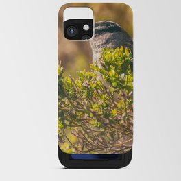 Behind the Branches  iPhone Card Case