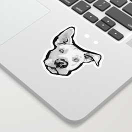 society6