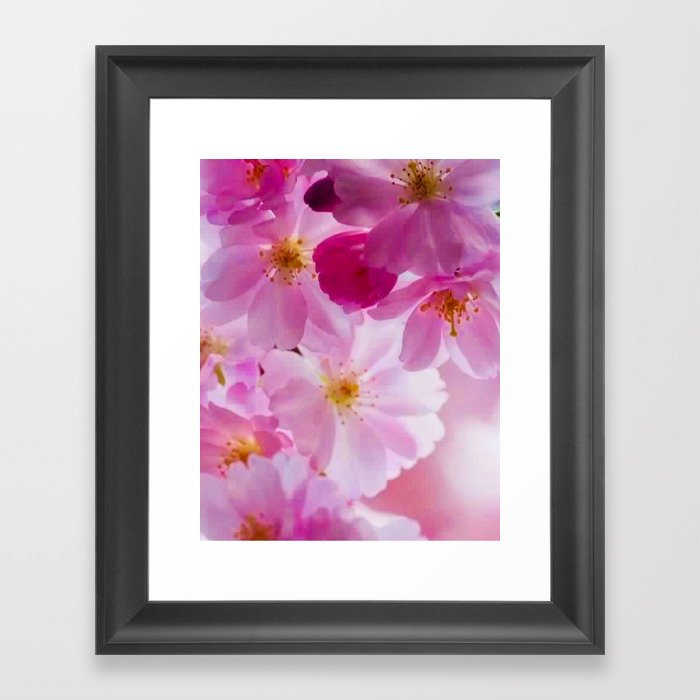 Flower Delight Framed Art Print