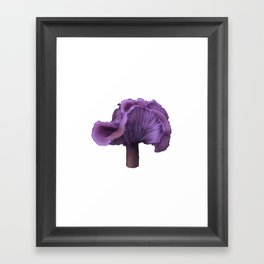 Amethyst Deceiver Framed Art Print