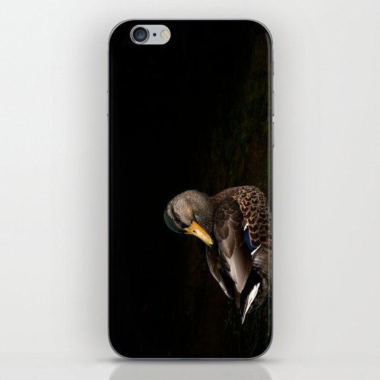 Summers Mallard iPhone & iPod Skin